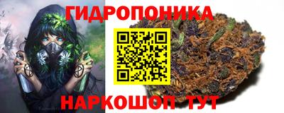 каннабис Будённовск