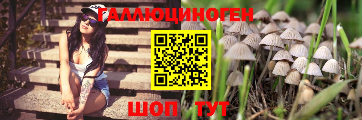 Галлюциногенные грибы Cubensis  Галлюциногенные грибы GOLDEN TEACHER  Вход с VPN  Арзамас 